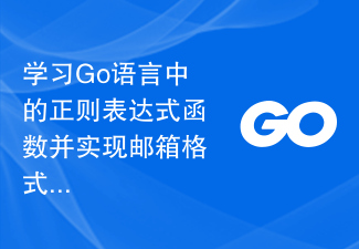 Go 언어의 정규식 기능을 배우고 이메일 형식 검증을 구현합니다.