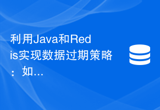 Menggunakan Java dan Redis untuk melaksanakan strategi tamat tempoh data: cara memadam data tamat tempoh secara automatik