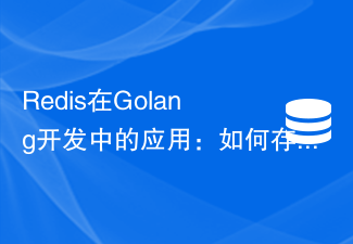 Redis在Golang开发中的应用：如何存储和检索复杂数据结构