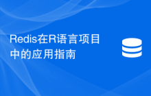 Redis在R语言项目中的应用指南
