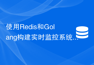 Redis と Golang を使用したリアルタイム監視システムの構築: 大量のデータを迅速に処理する方法