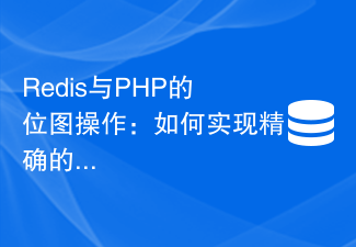 Redis と PHP を使用したビットマップ操作: 正確な統計関数を実現する方法