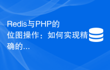 Redis与PHP的位图操作：如何实现精确的统计功能