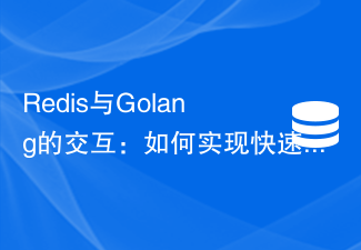 Redis與Golang的互動：如何實現快速的資料儲存和檢索