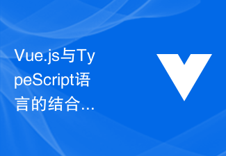 Vue.js与TypeScript语言的结合，构建可维护的企业级前端项目的实践和最佳实践