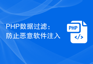 PHP データ フィルタリング: マルウェア挿入の防止