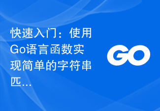 빠른 시작: Go 언어 함수를 사용하여 간단한 문자열 일치 기능 구현