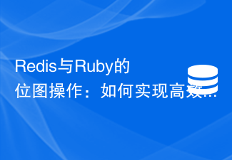 Redis と Ruby でのビットマップ操作: 効率的なデータ分析を実現する方法