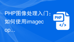 PHP影像處理入門:如何使用imagecopyresampled函數調整影像尺寸