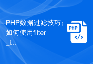 PHP データ フィルタリングのヒント: filter_input 関数を使用してユーザー入力を検証し、サニタイズする方法