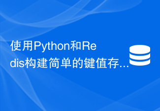 Membina sistem storan nilai kunci mudah menggunakan Python dan Redis: Cara menyimpan data dengan cekap