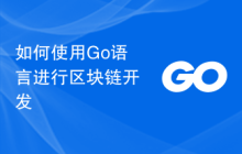 如何使用Go语言进行区块链开发