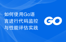 如何使用Go语言进行代码监控与性能评估实践