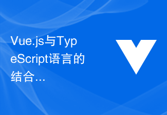 Vue.js与TypeScript语言的结合，编写可靠的前端代码