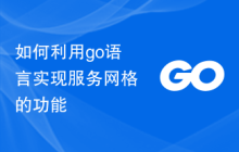 如何利用go语言实现服务网格的功能