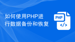 데이터 백업 및 복구에 PHP를 사용하는 방법