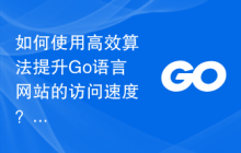 如何使用高效算法提升Go语言网站的访问速度？