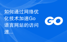 如何通过网络优化技术加速Go语言网站的访问速度？