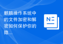 麒麟操作系统中的文件加密和解密如何保护你的隐私？