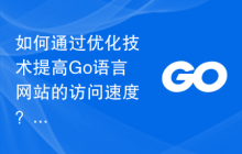 如何通过优化技术提高Go语言网站的访问速度？