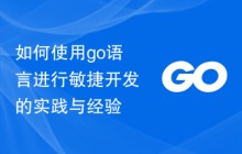 如何使用go语言进行敏捷开发的实践与经验