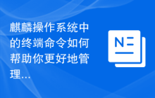 麒麟操作系统中的终端命令如何帮助你更好地管理电脑？