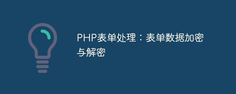 PHP表单处理：表单数据加密与解密