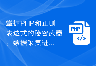 PHP と正規表現の秘密兵器をマスターする: データ収集の進化