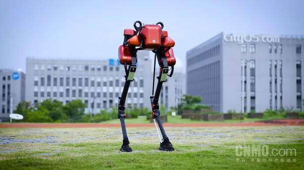 Chinas first large-scale ostrich-like bipedal robot Monkey King” was unveiled, wearing a red shirt