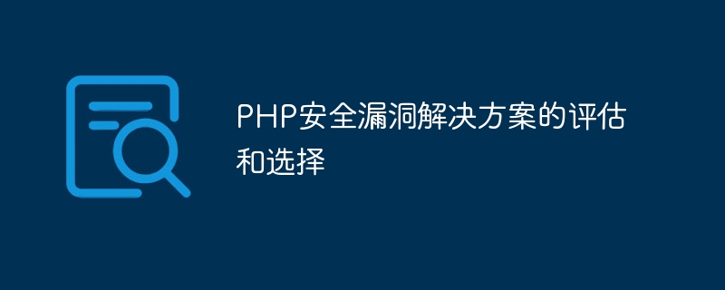 Assessment and selection of solutions for PHP security vulnerabilities