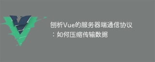 刨析vue的服务器端通信协议：如何压缩传输数据