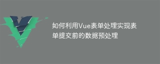 如何利用vue表单处理实现表单提交前的数据预处理