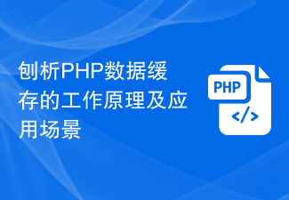 Analyser le principe de fonctionnement et les scénarios d'application de la mise en cache des données PHP