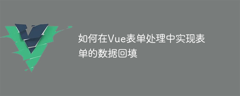 Vue 양식 처리에서 양식 데이터 채우기를 구현하는 방법