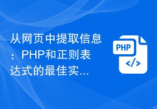 웹페이지에서 정보 추출: PHP 및 정규식을 사용한 모범 사례