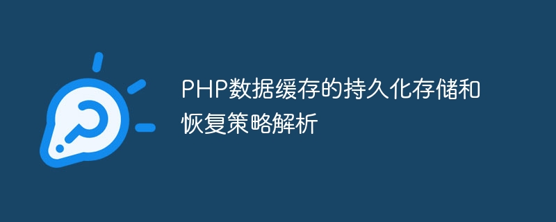 PHP 데이터 캐시에 대한 영구 저장 및 복구 전략 분석