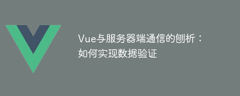 Vue 및 서버 측 통신 분석: 데이터 검증 구현 방법