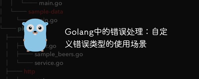 Fehlerbehandlung in Golang: Verwendungsszenarien benutzerdefinierter Fehlertypen