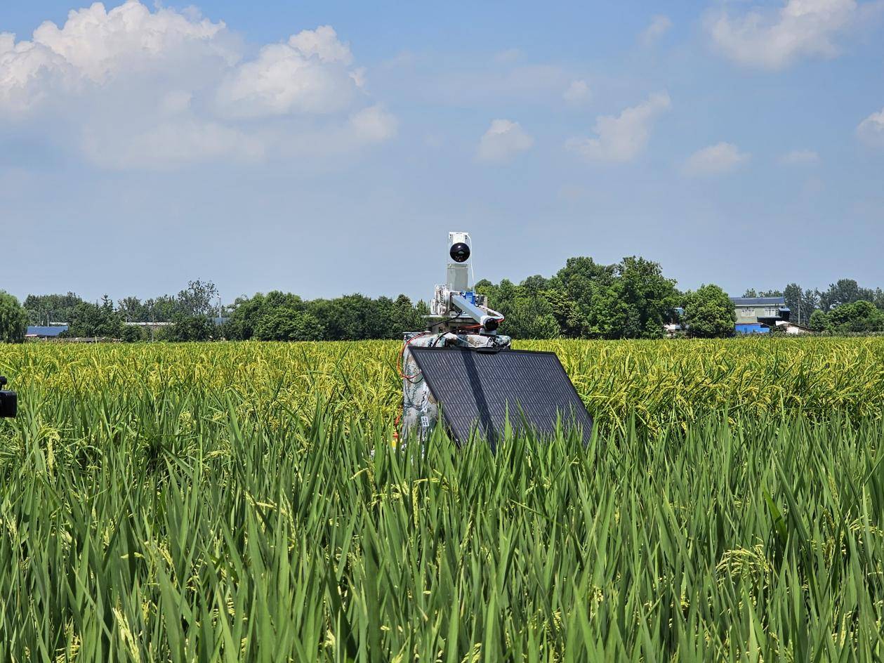 Agricultural industry upgrade: AI-driven Lai·Jiantian opens up the future prospects of farmland