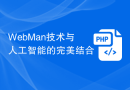 WebMan技术与人工智能的完美结合
