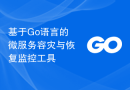 基于Go语言的微服务容灾与恢复监控工具
