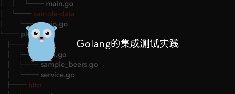 Golang 통합 테스트 실습