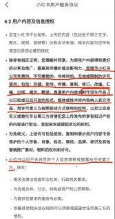 小红书陷入麻烦!被指控未经许可使用用户图片进行AI训练