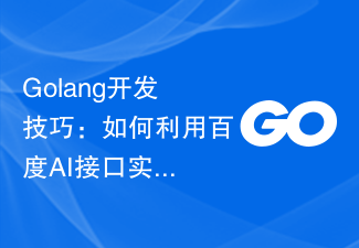 Golang开发技巧:如何利用百度AI接口实现网络爬虫