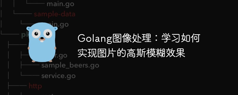 Golang图像处理：学习如何实现图片的高斯模糊效果