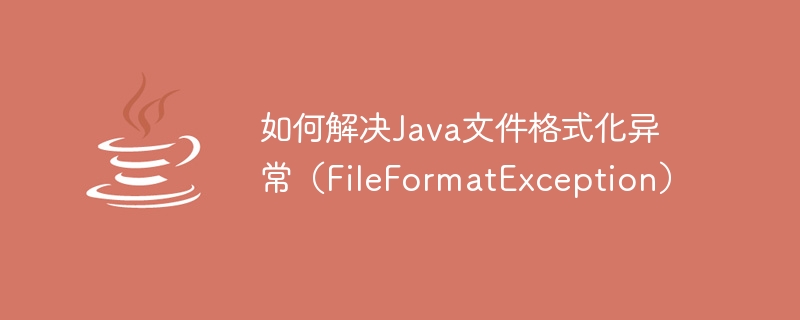 How to solve Java file format exception (FileFormatException)