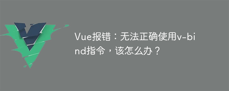 Erreur Vue : la directive v-bind ne peut pas être utilisée correctement, que dois-je faire ?