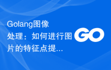 Golang图像处理：如何进行图片的特征点提取和颜色分析