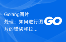 Golang图片处理：如何进行图片的错切和拉伸
