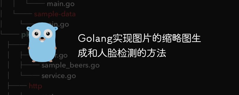 Golang melaksanakan penjanaan imej kecil imej dan kaedah pengesanan muka